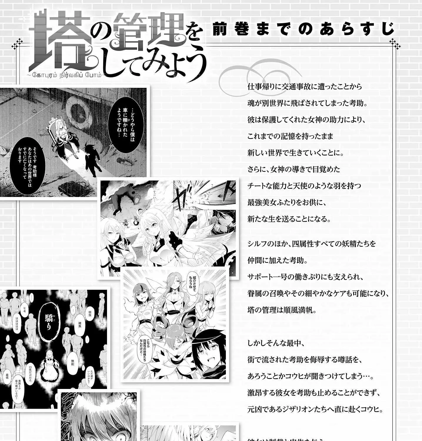Tou no Kanri o Shite Miyou Chapter 63 page 11 - 