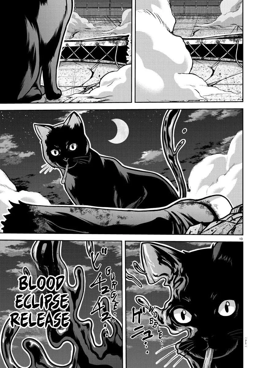 Tougen Anki Chapter 184 page 14 - 