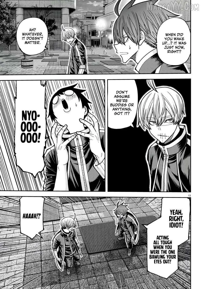 Tougen Anki Chapter 217 page 14 - 