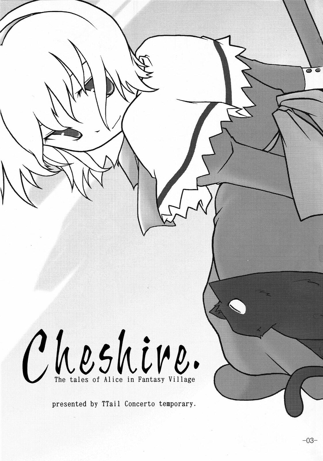 Touhou Project dj - Cheshire. Chapter 0 page 2 - 