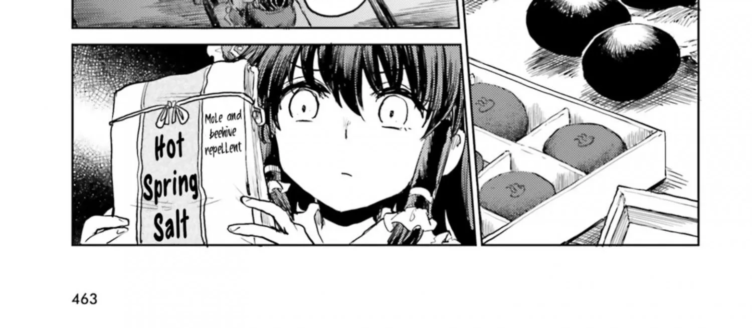 Touhou Suichouka ~ Lotus Eater-tachi no Suisei Chapter 35 page 26 - 