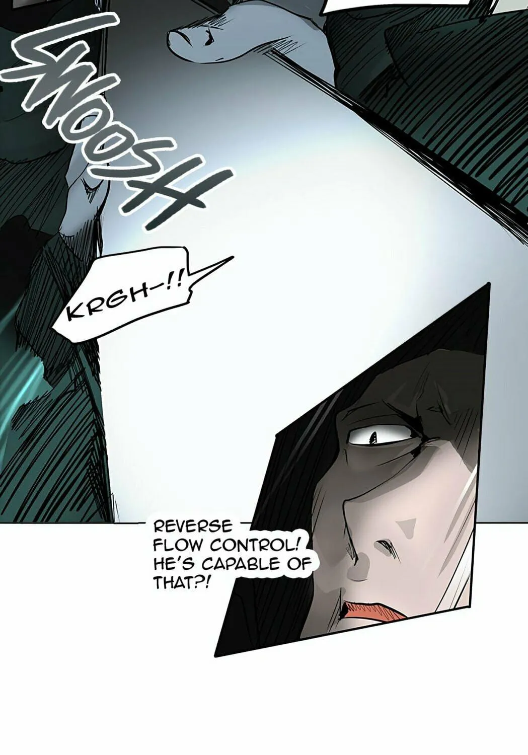 Tower of God Chapter 256 page 29 - 