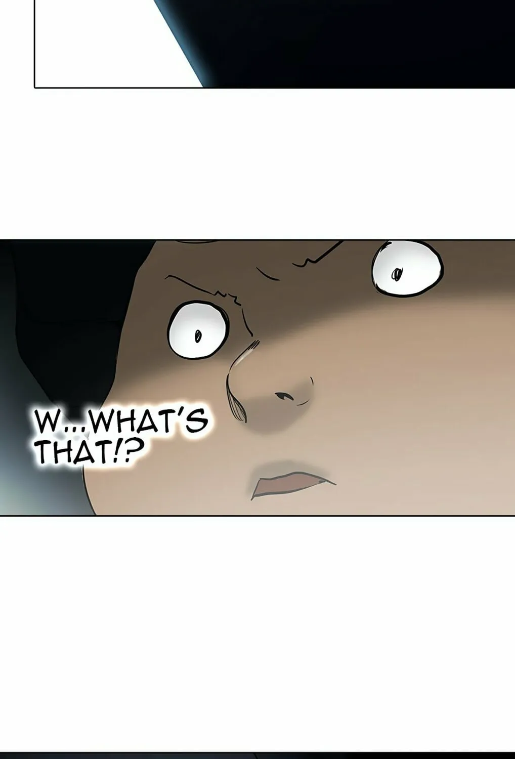 Tower of God Chapter 262 page 22 - 