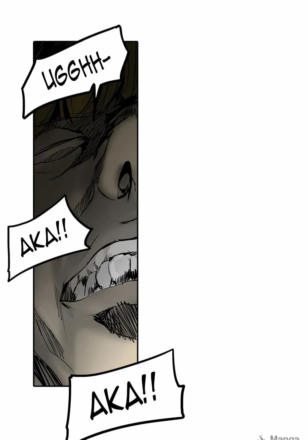 Tower of God Chapter 266 page 146 - 