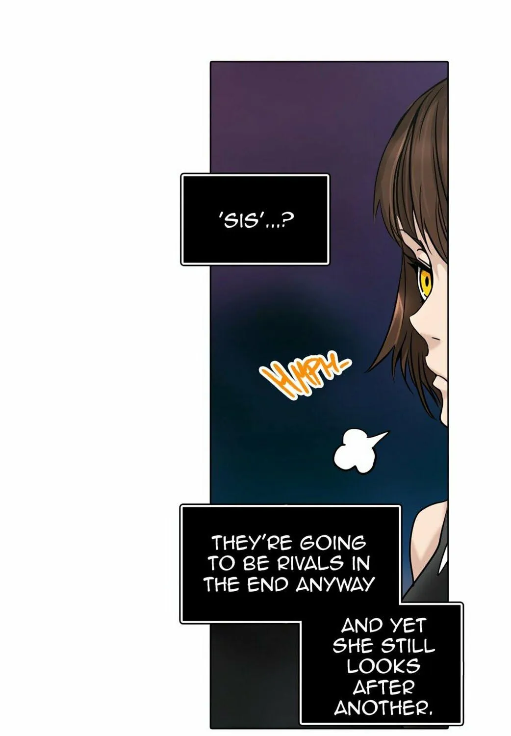 Tower of God Chapter 300 page 95 - 