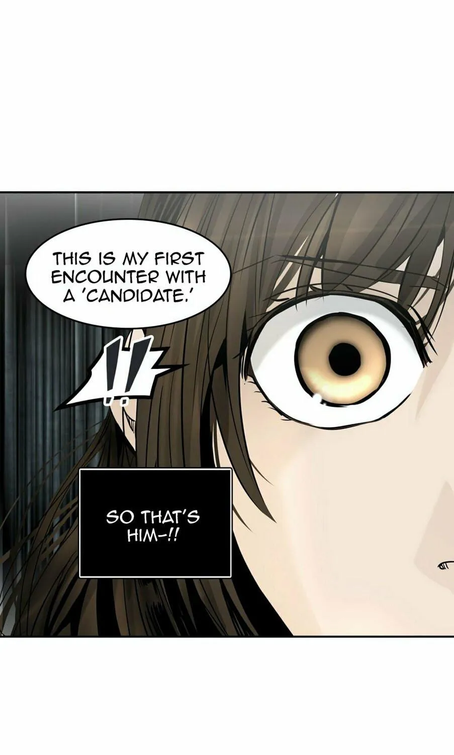 Tower of God Chapter 305 page 84 - 