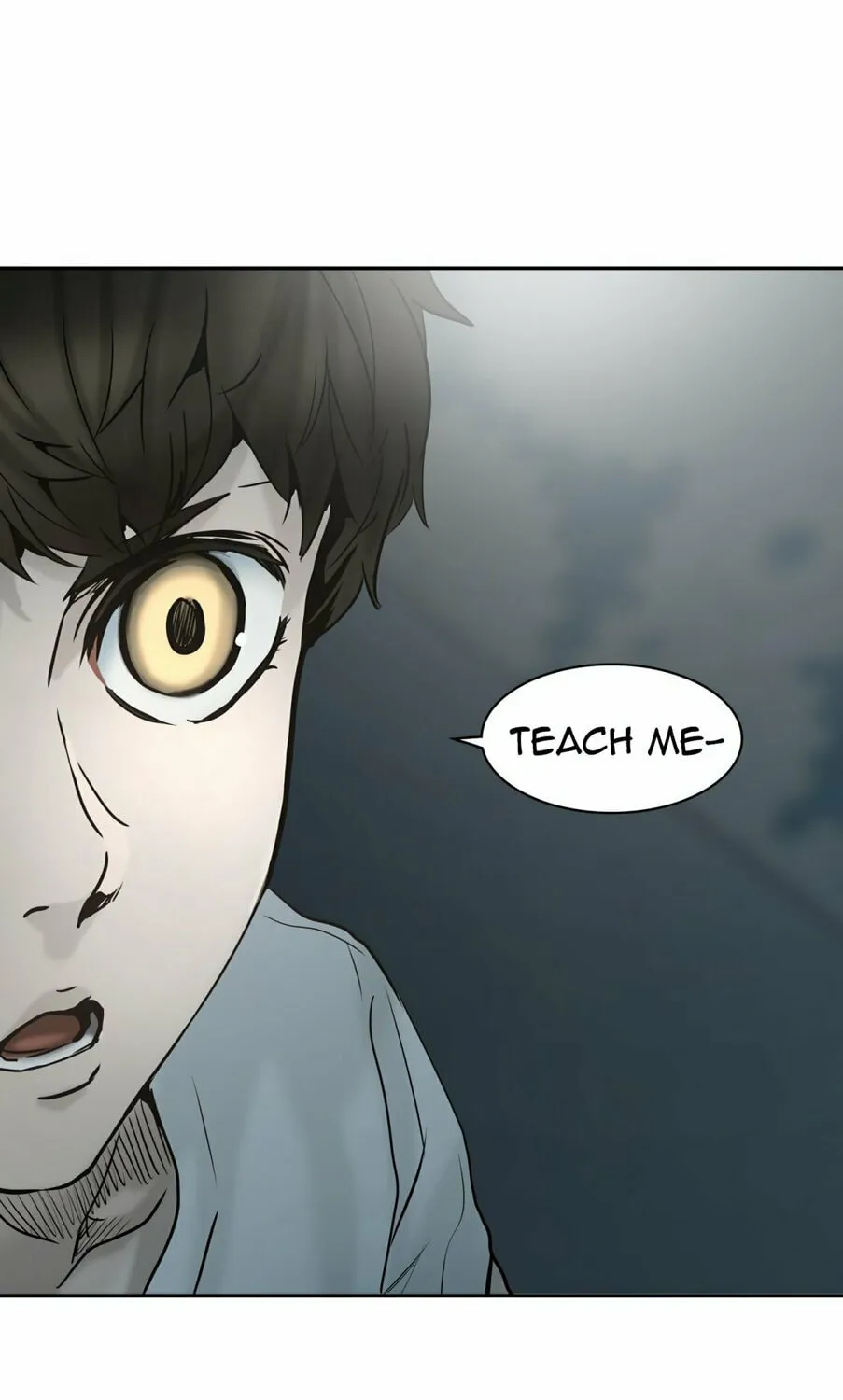 Tower of God Chapter 308 page 189 - 