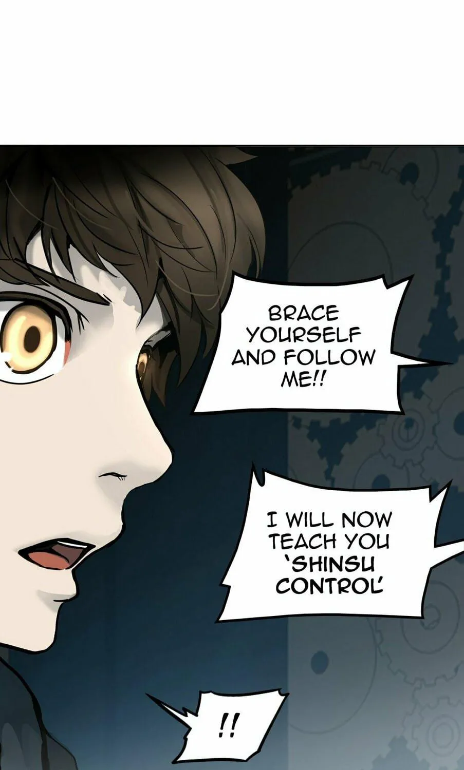 Tower of God Chapter 309 page 163 - 