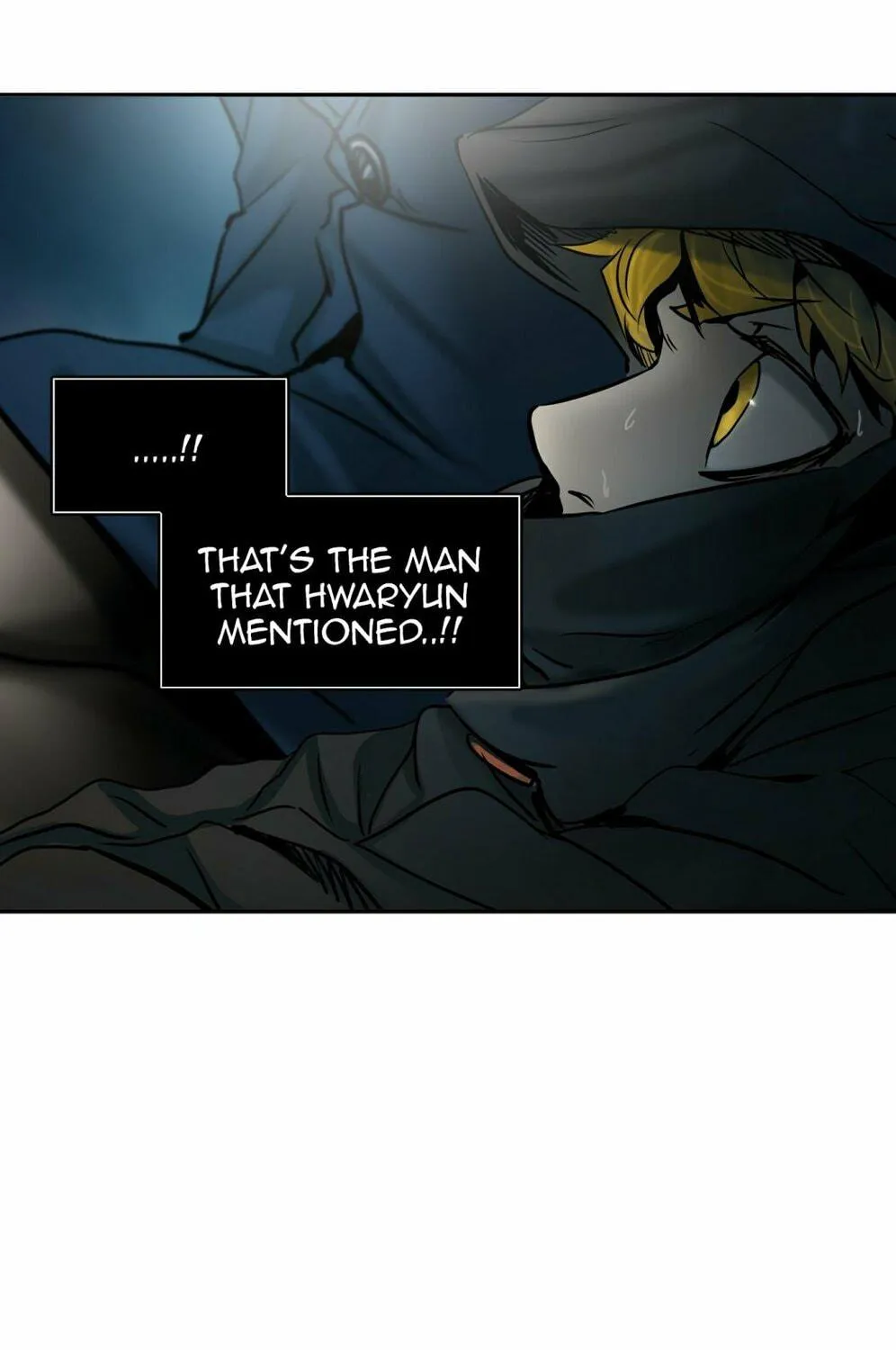 Tower of God Chapter 313 page 165 - 