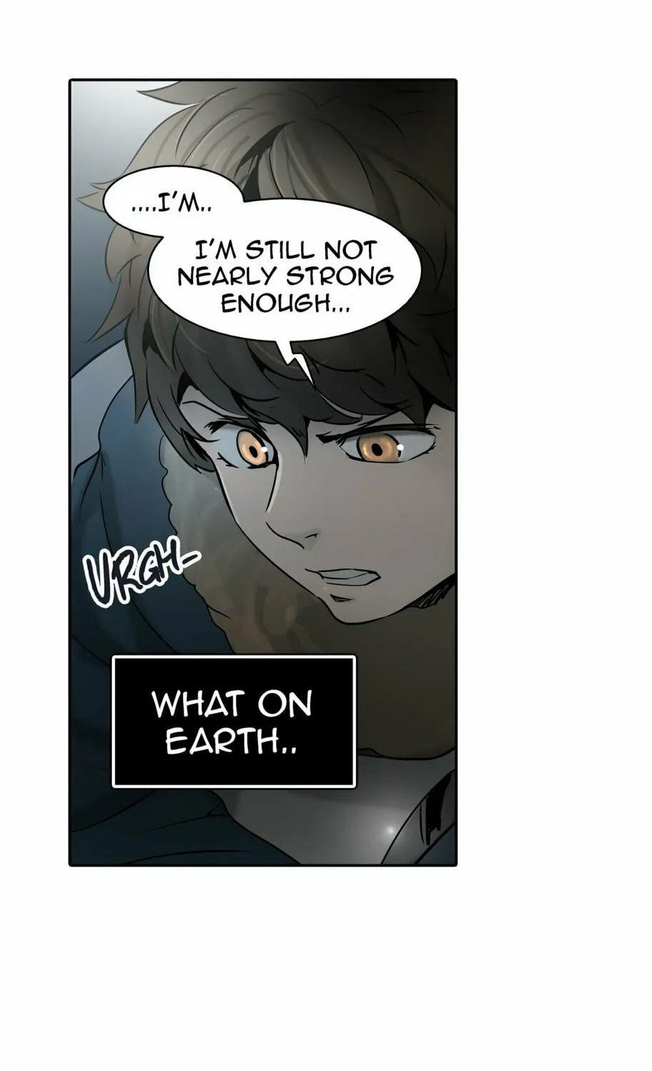 Tower of God Chapter 313 page 217 - 