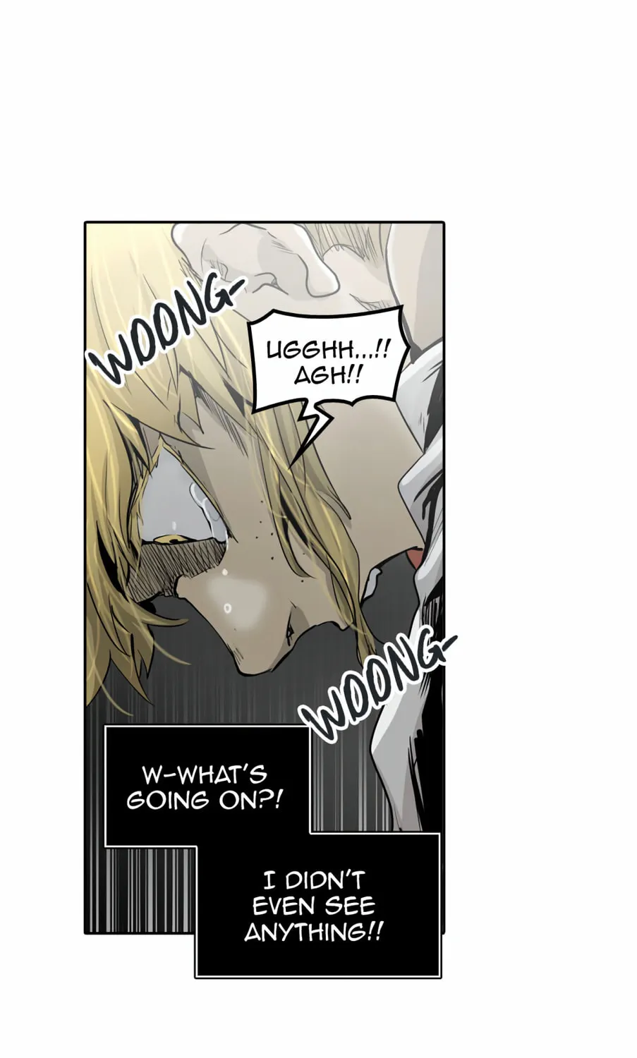 Tower of God Chapter 333 page 5 - 