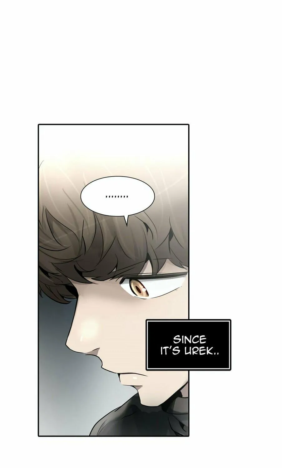 Tower of God Chapter 340 page 33 - 