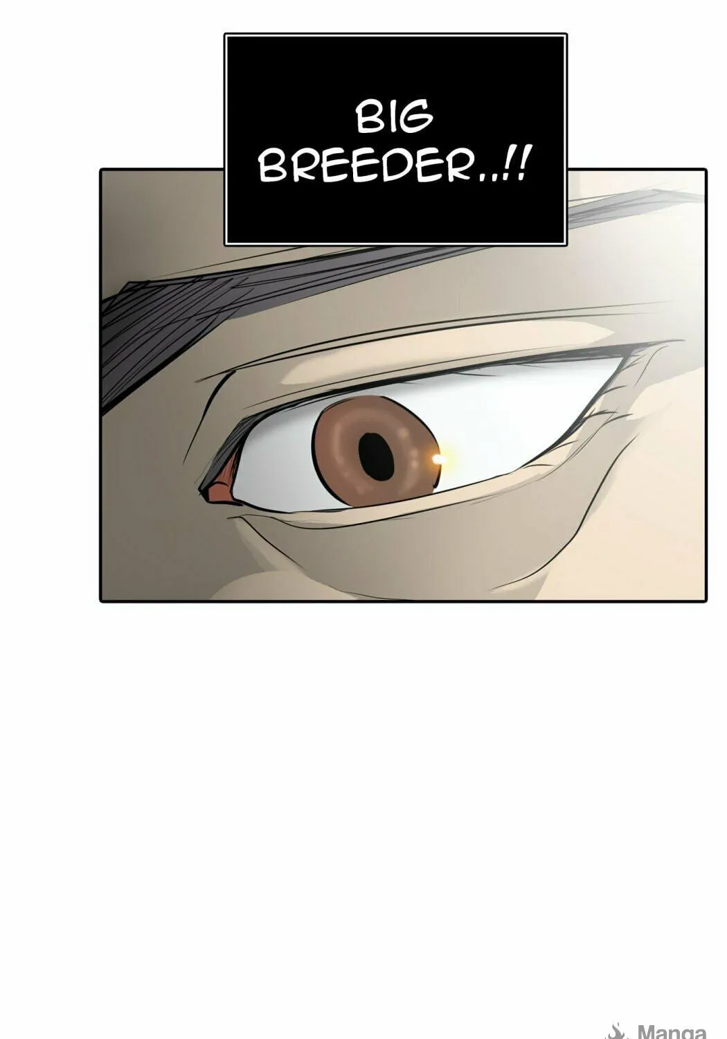 Tower of God Chapter 350 page 232 - 