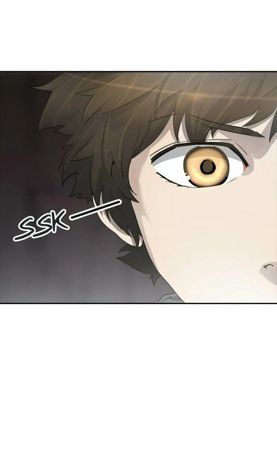 Tower of God Chapter 351 page 222 - 