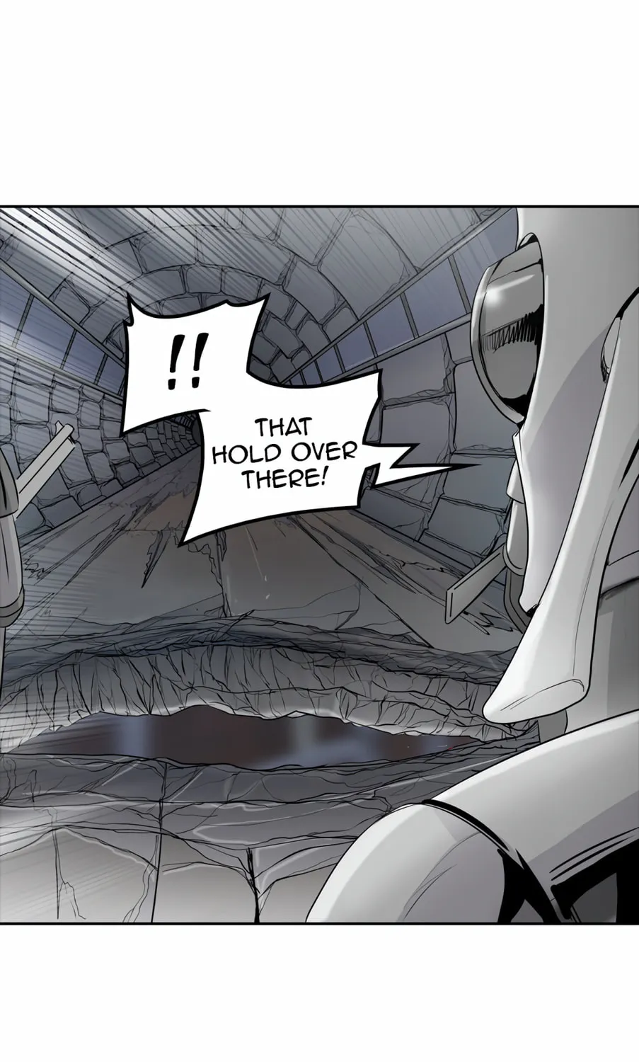 Tower of God Chapter 352 page 217 - 