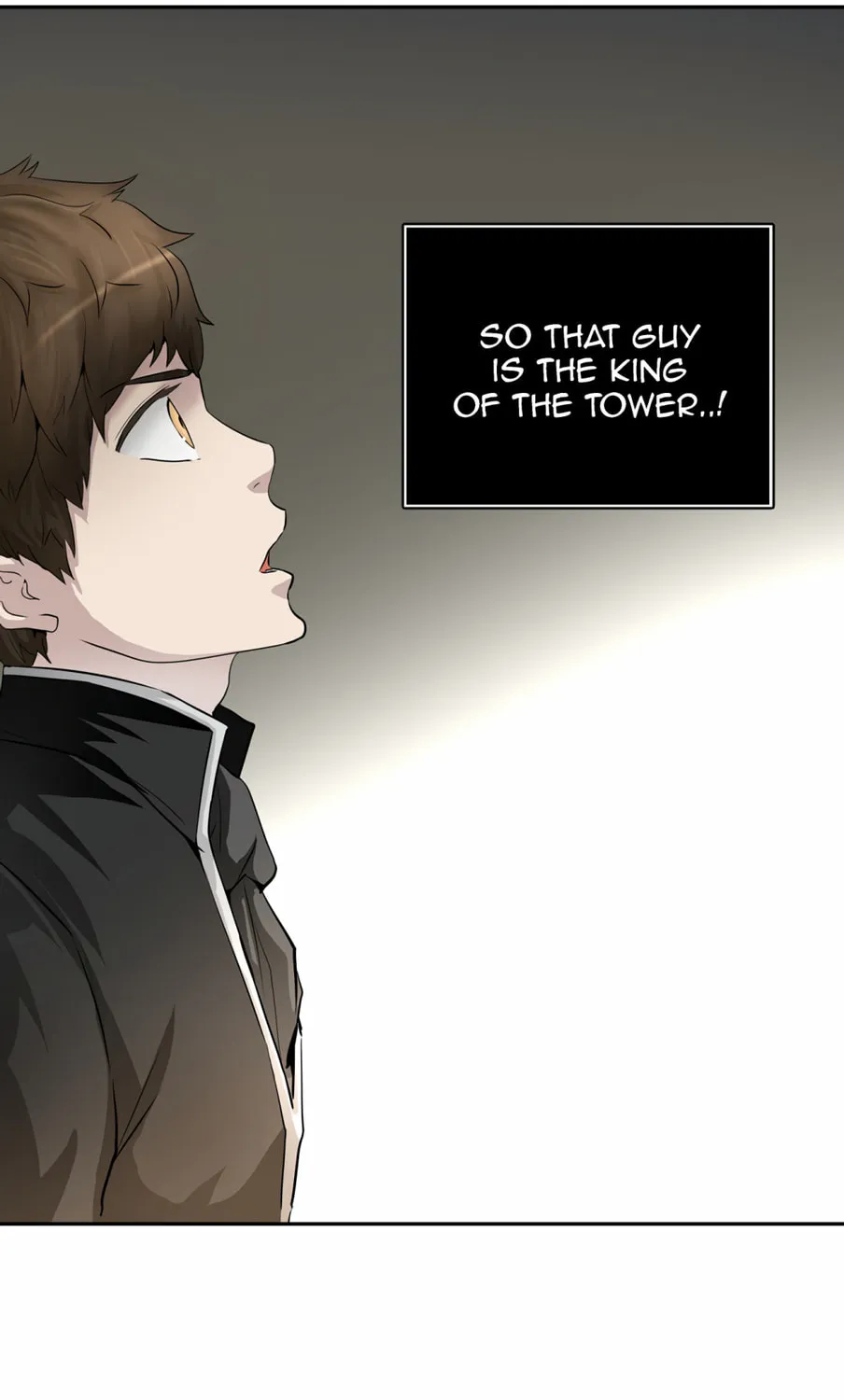Tower of God Chapter 365 page 24 - 