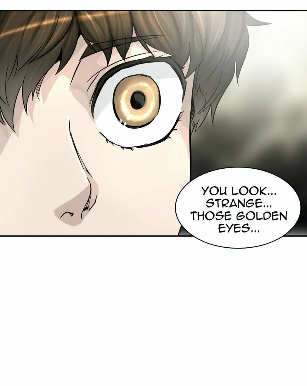 Tower of God Chapter 385 page 163 - 