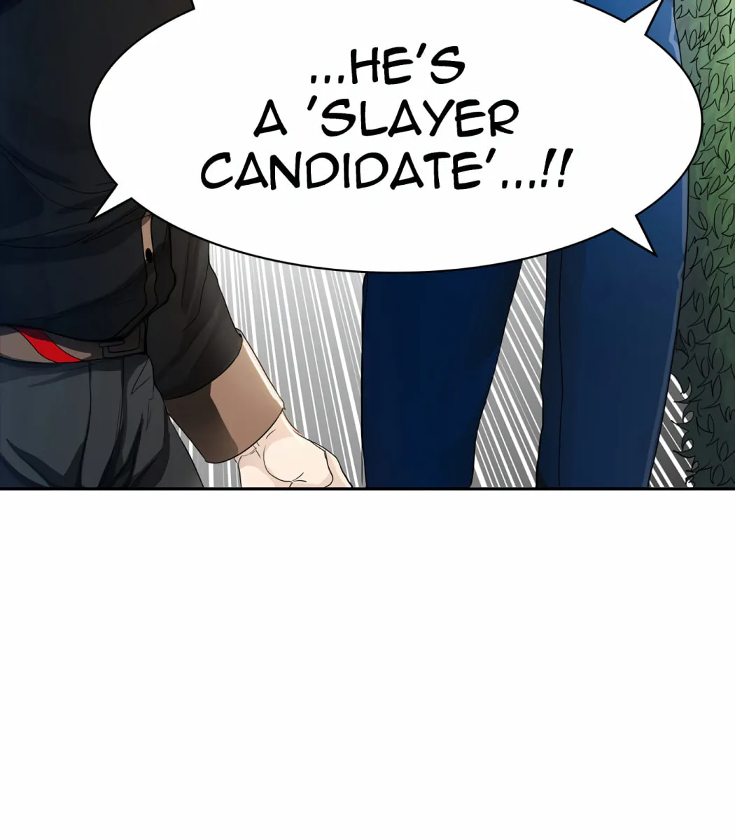 Tower of God Chapter 433 page 193 - 