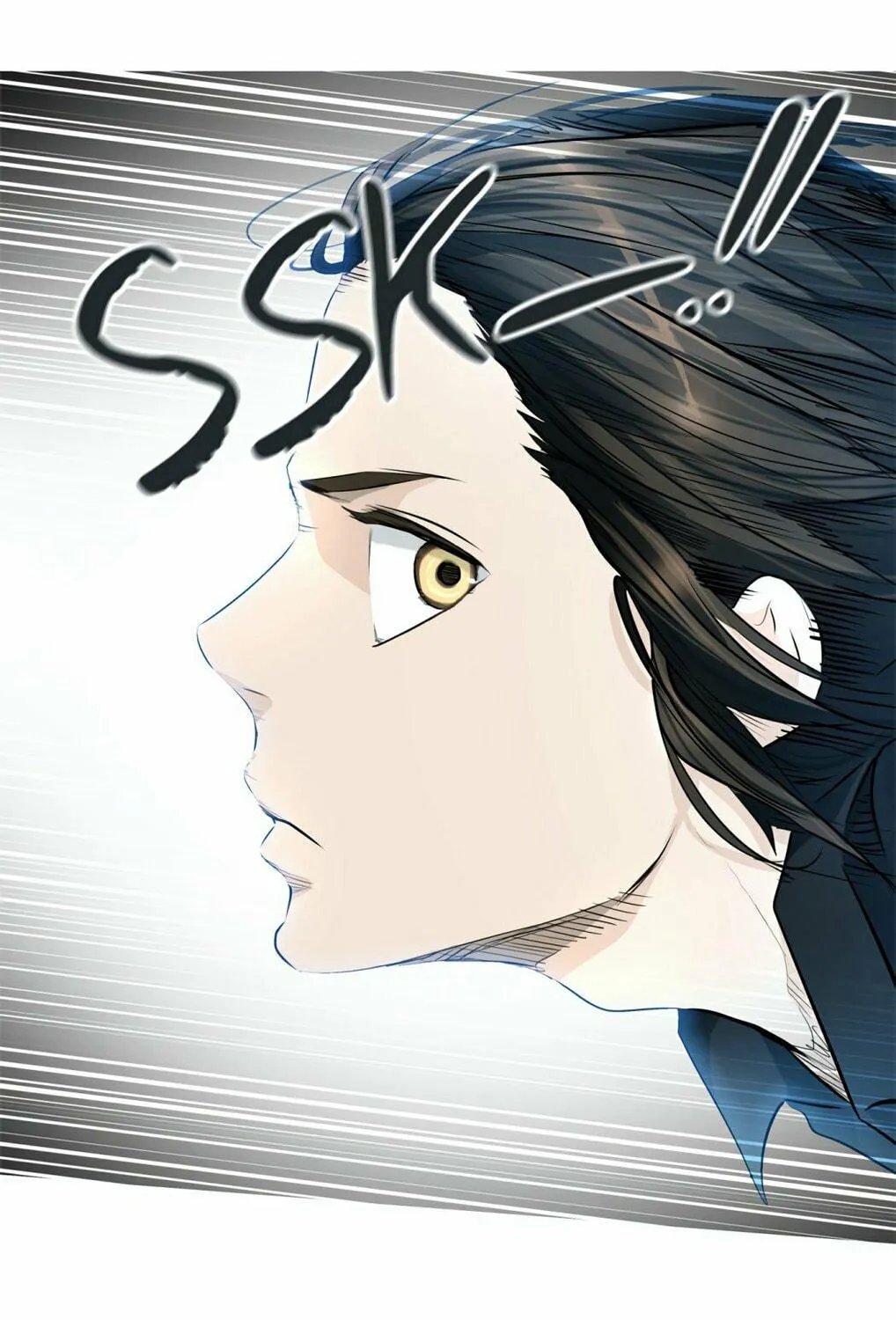 Tower of God Chapter 433 page 205 - 