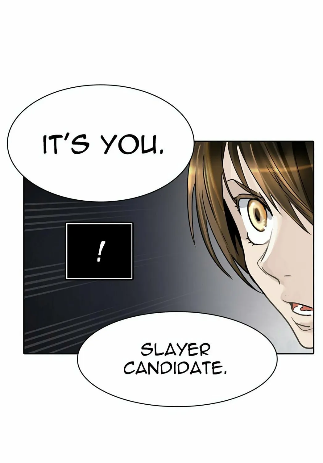 Tower of God Chapter 446 page 165 - 