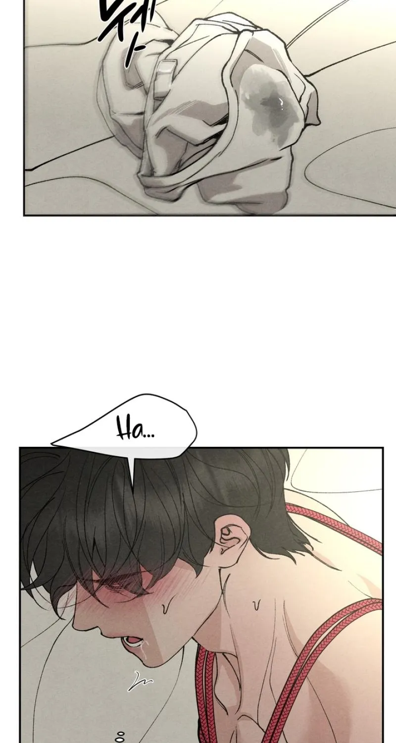 Toy Daddy Chapter 31 page 40 - 