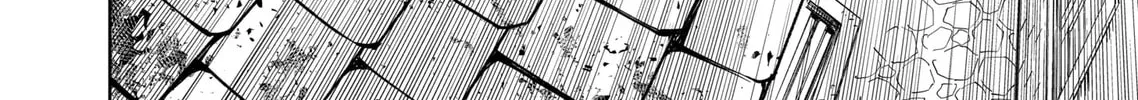 Training Regimes of the World’s Strongest Women Chapter 1.4 page 14 - 