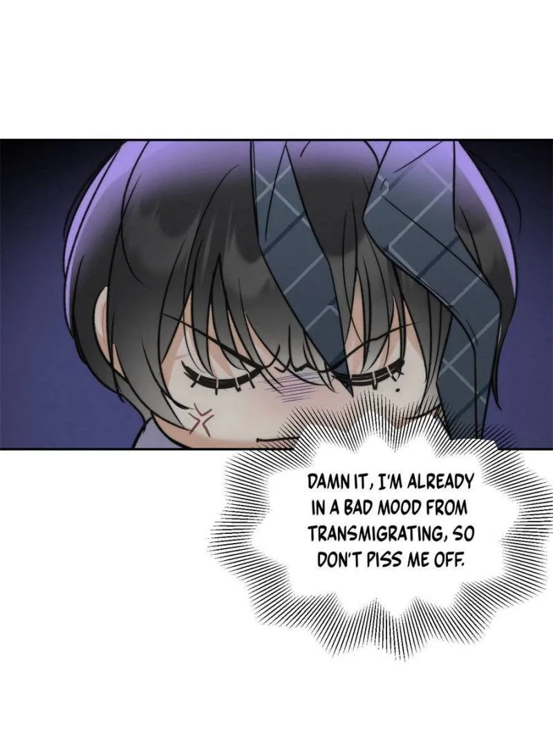 Transmigrated as an Omega who snags his Alpha Chapter 1 page 29 - 