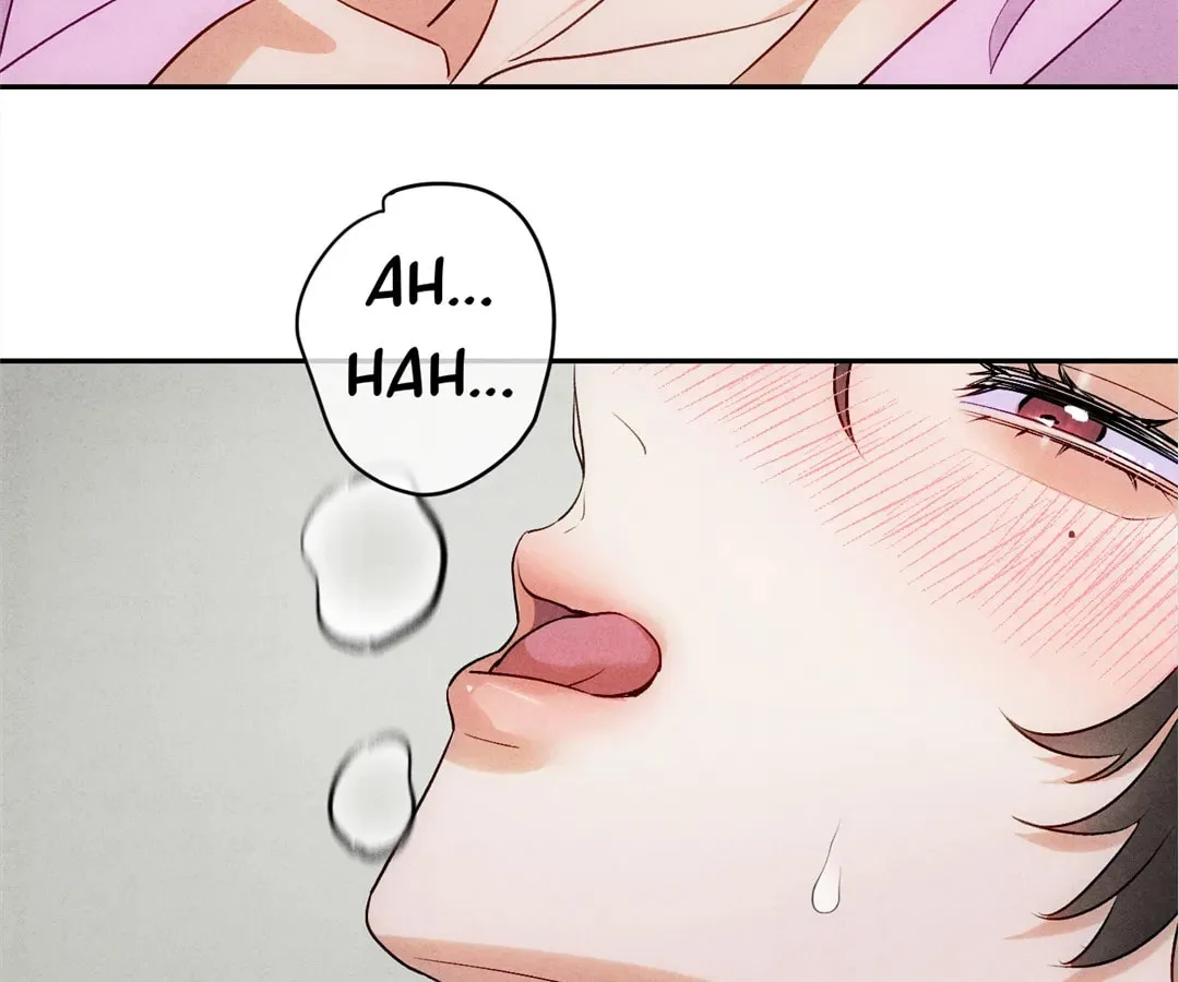 Transmigrated as an Omega who snags his Alpha Chapter 11 page 27 - 