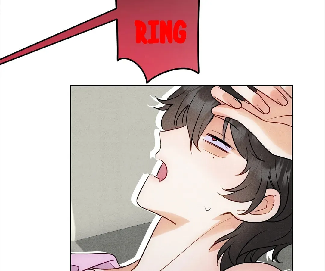 Transmigrated as an Omega who snags his Alpha Chapter 11 page 29 - 