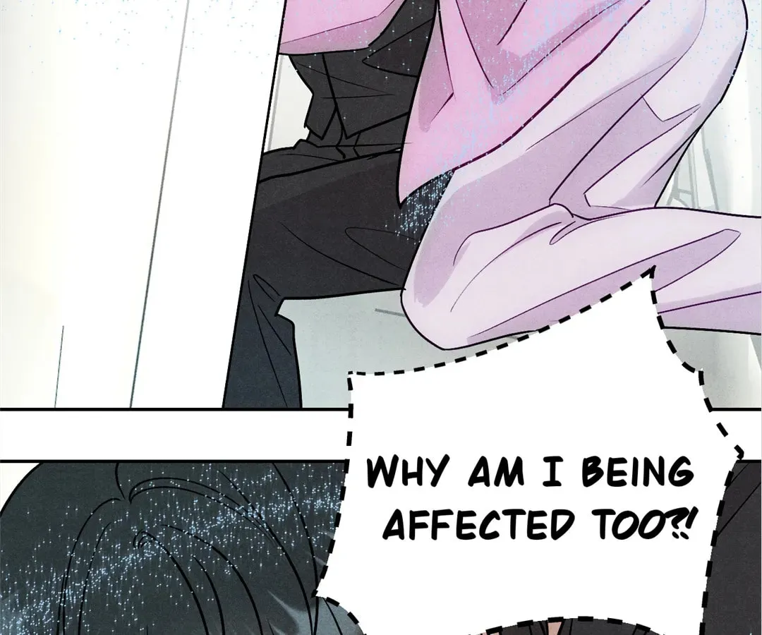 Transmigrated as an Omega who snags his Alpha Chapter 11 page 61 - 