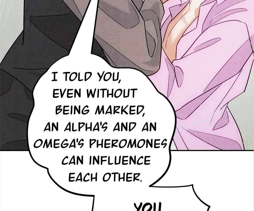 Transmigrated as an Omega who snags his Alpha Chapter 11 page 67 - 