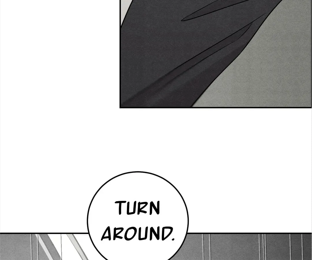 Transmigrated as an Omega who snags his Alpha Chapter 11 page 79 - 