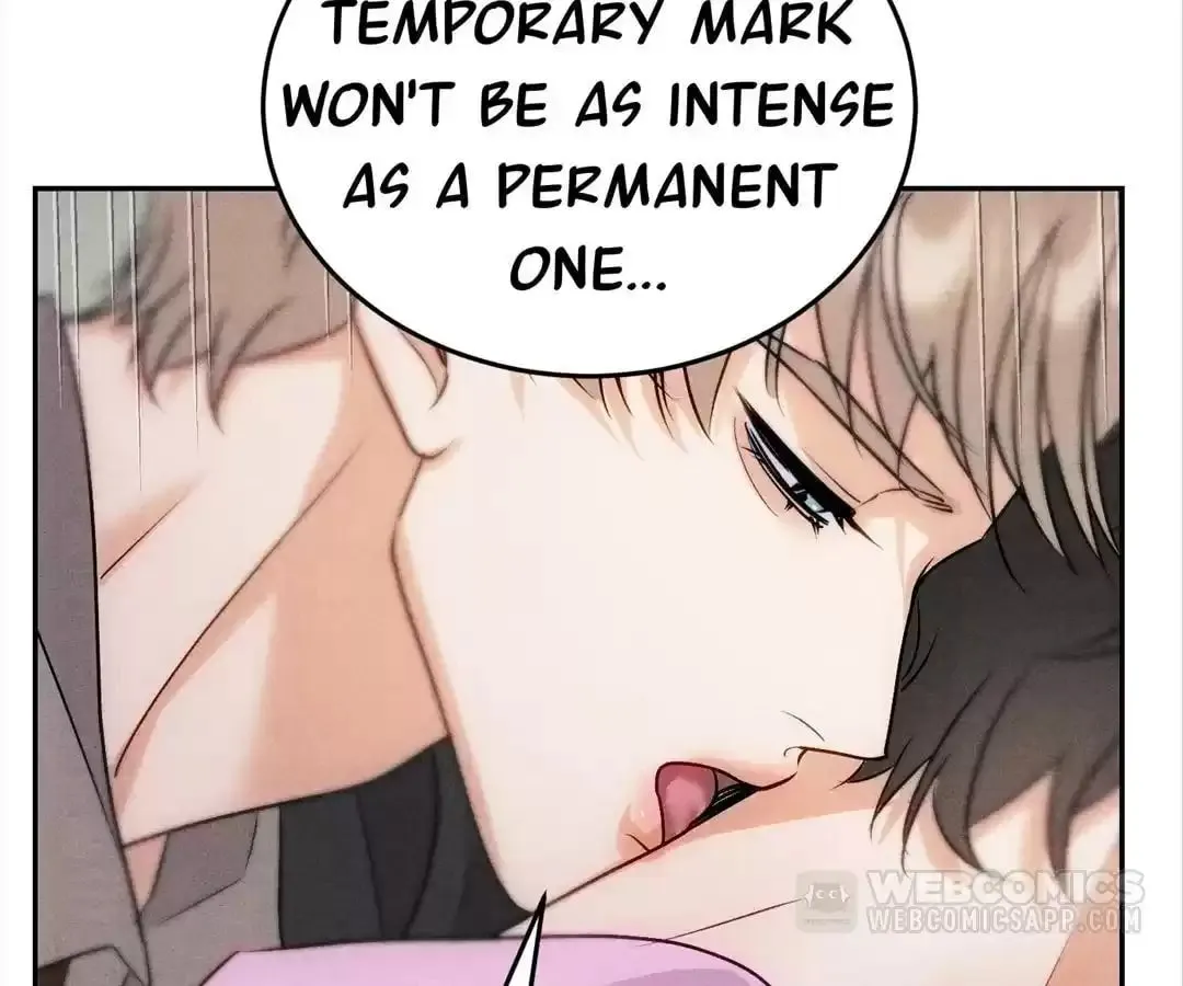 Transmigrated as an Omega who snags his Alpha Chapter 11 page 84 - 