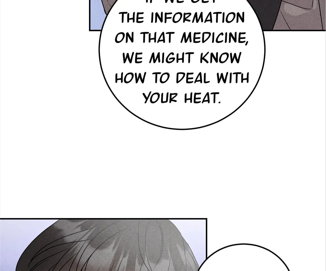 Transmigrated as an Omega who snags his Alpha Chapter 12 page 15 - 