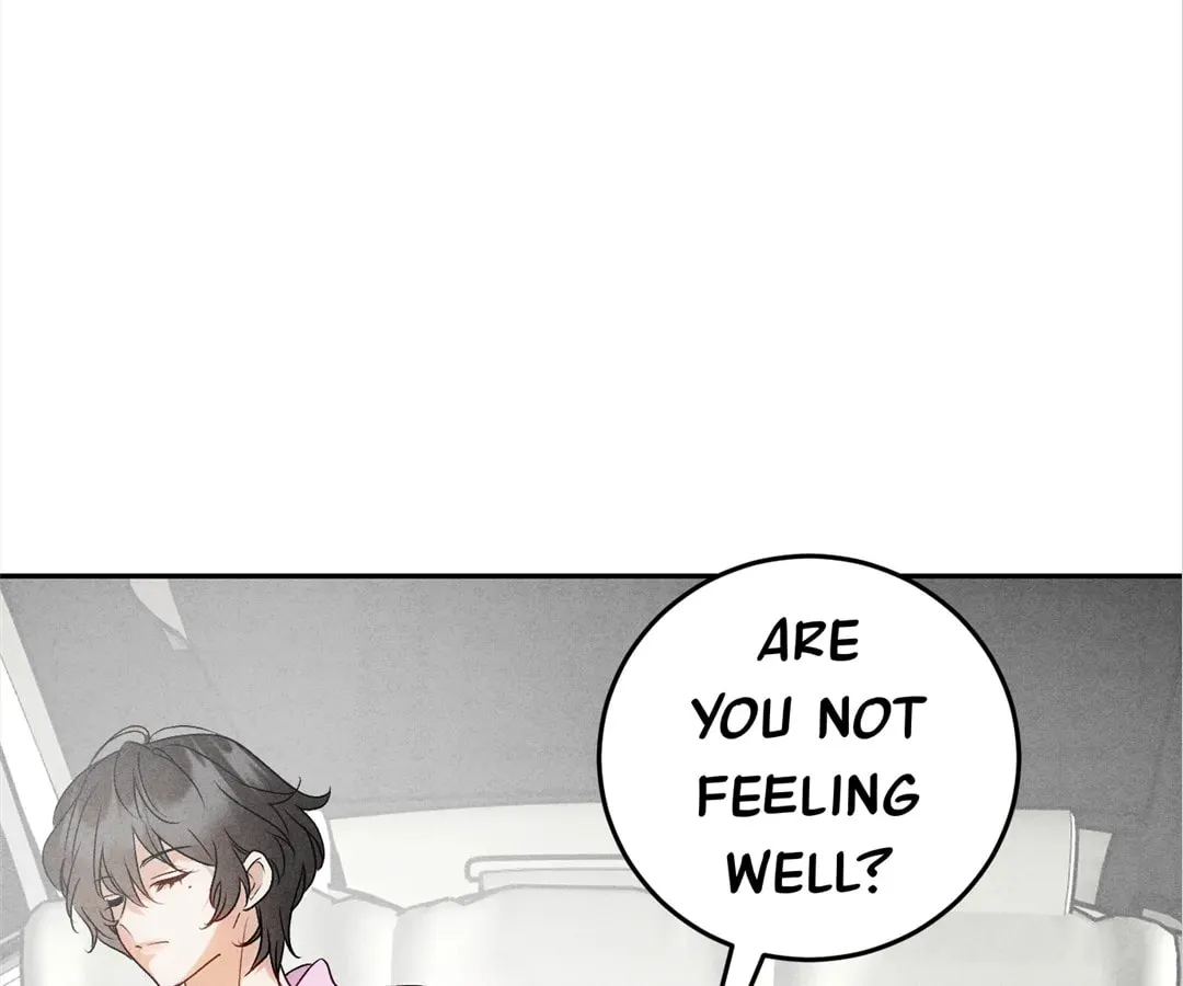 Transmigrated as an Omega who snags his Alpha Chapter 12 page 5 - 