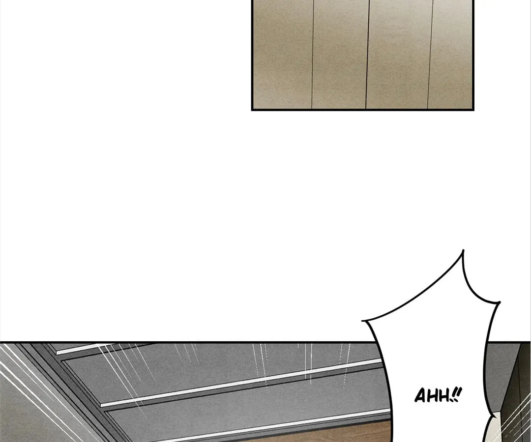 Transmigrated as an Omega who snags his Alpha Chapter 12 page 73 - 