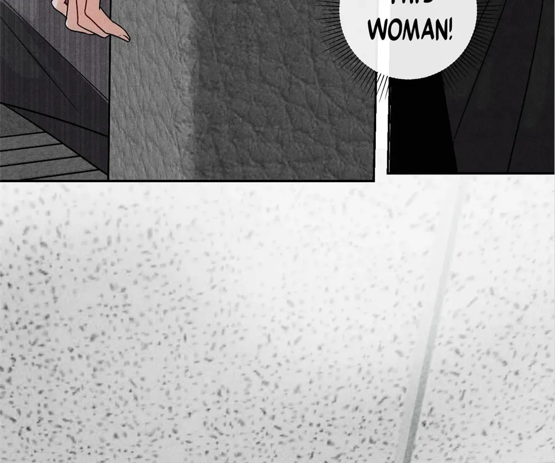 Transmigrated as an Omega who snags his Alpha Chapter 13 page 56 - 