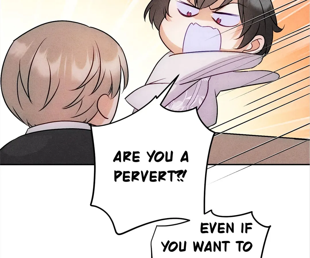 Transmigrated as an Omega who snags his Alpha Chapter 14 page 42 - 
