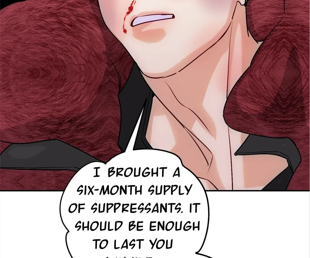 Transmigrated as an Omega who snags his Alpha Chapter 16 page 76 - 