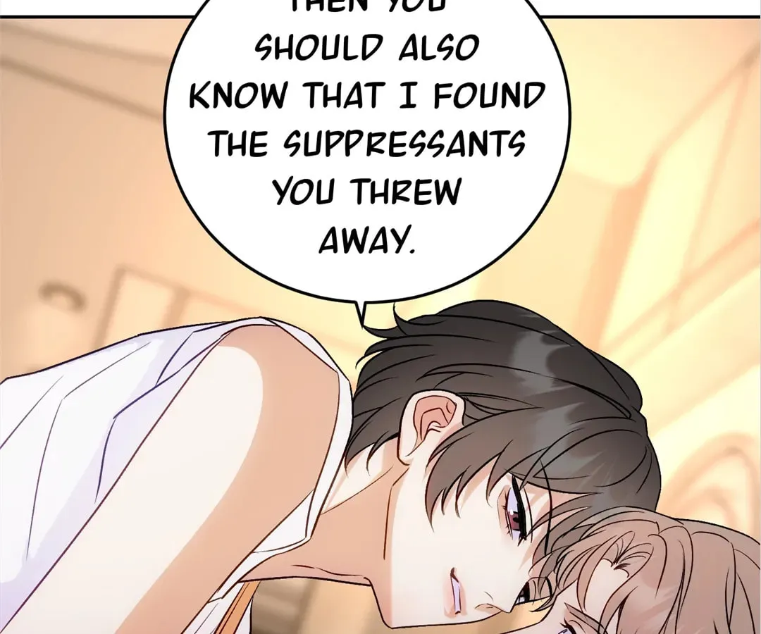 Transmigrated as an Omega who snags his Alpha Chapter 17 page 102 - 