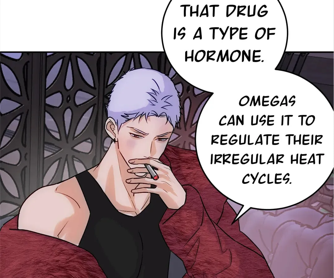 Transmigrated as an Omega who snags his Alpha Chapter 17 page 22 - 
