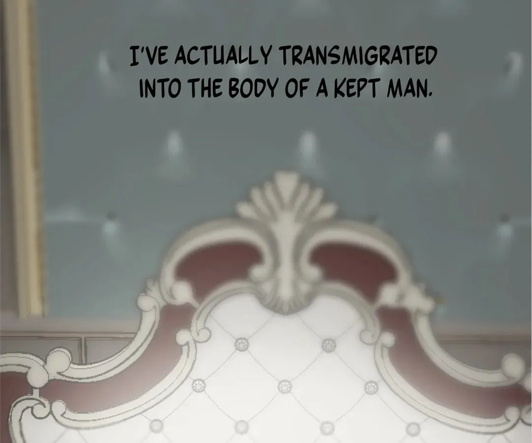 Transmigrated as an Omega who snags his Alpha Chapter 2 page 5 - 