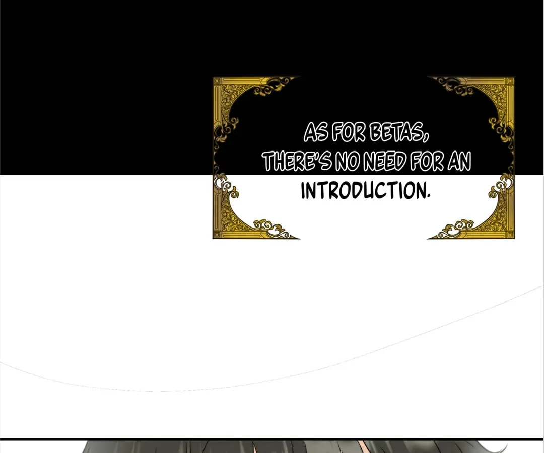 Transmigrated as an Omega who snags his Alpha Chapter 2 page 52 - 
