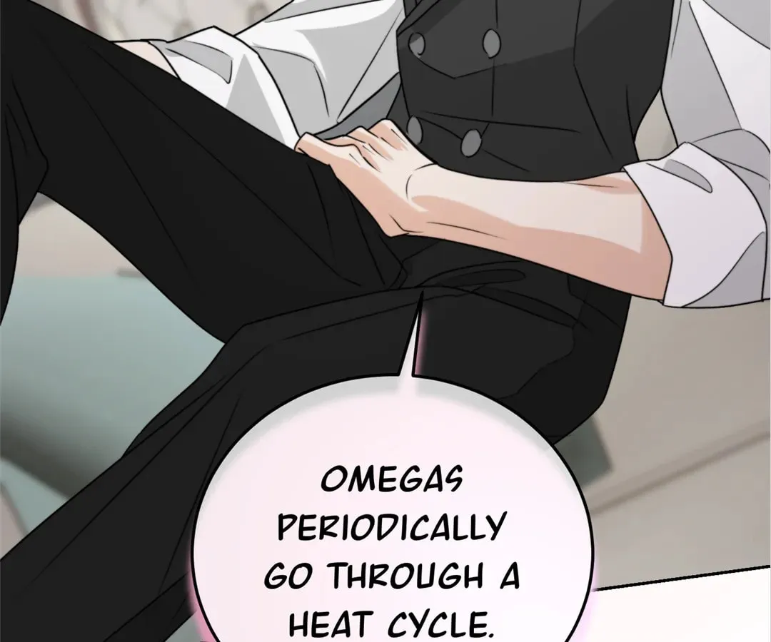 Transmigrated as an Omega who snags his Alpha Chapter 2 page 64 - 