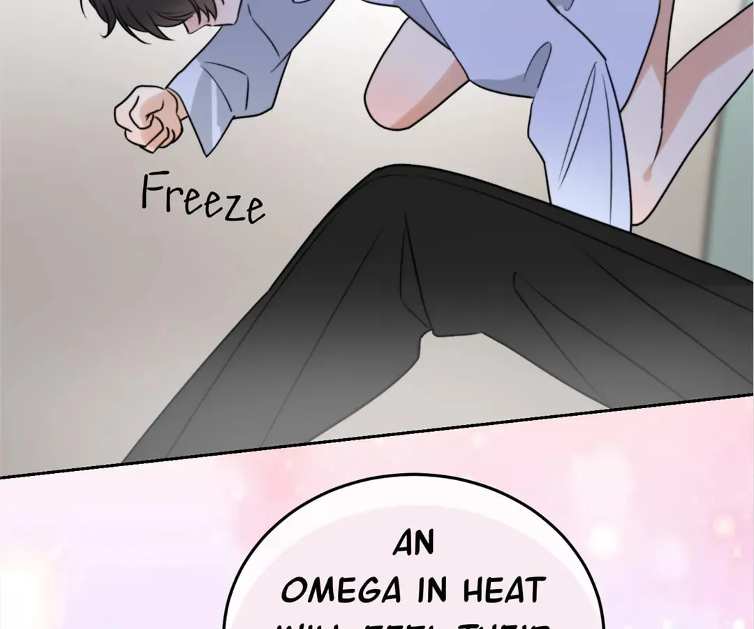 Transmigrated as an Omega who snags his Alpha Chapter 2 page 66 - 