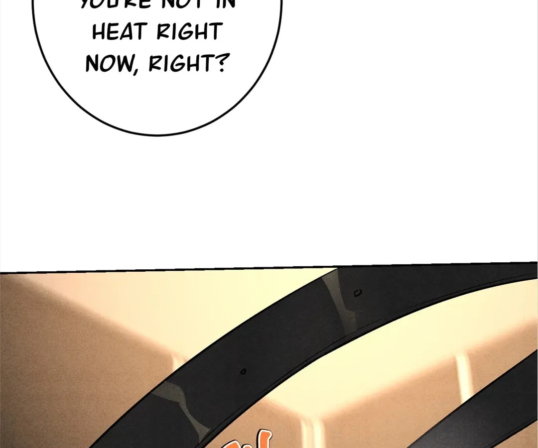 Transmigrated as an Omega who snags his Alpha Chapter 20 page 38 - 