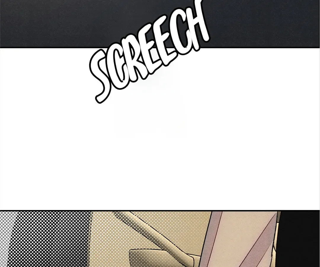 Transmigrated as an Omega who snags his Alpha Chapter 21 page 8 - 