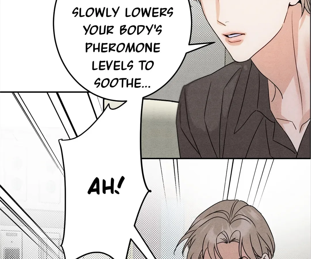 Transmigrated as an Omega who snags his Alpha Chapter 23 page 47 - 