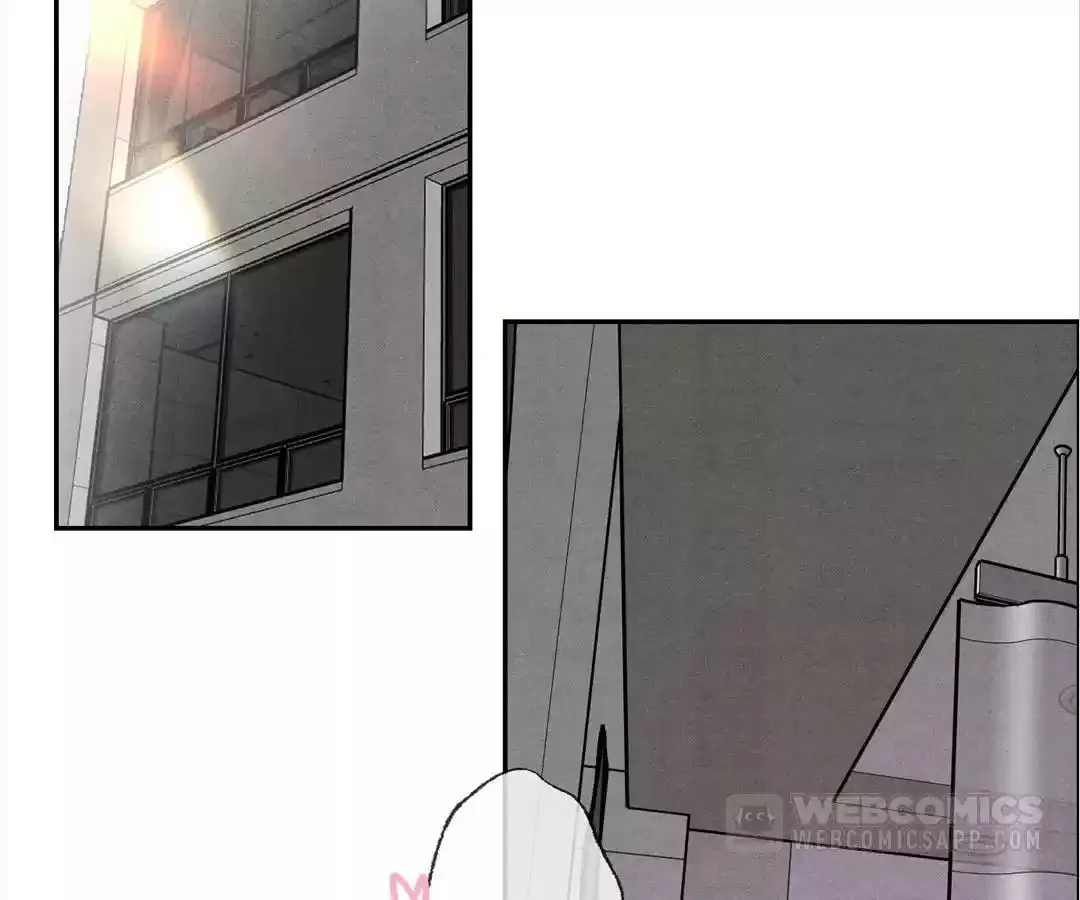 Transmigrated as an Omega who snags his Alpha Chapter 24 page 3 - 