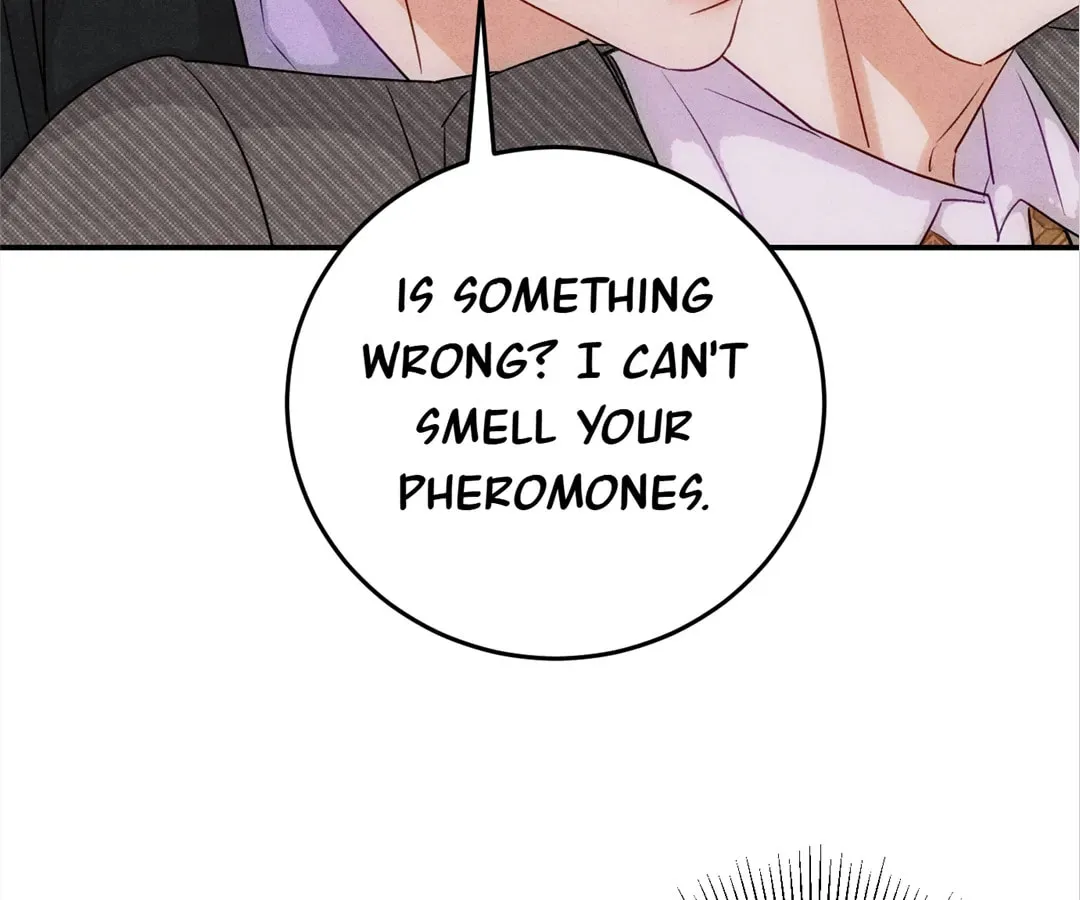 Transmigrated as an Omega who snags his Alpha Chapter 36 page 25 - 